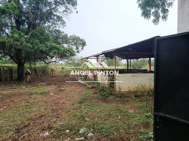 #7081 - GRANJA / FINCA para Venta en Maracaibo - V - 1