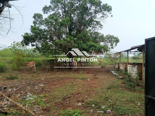 #7081 - GRANJA / FINCA para Venta en Maracaibo - V - 2