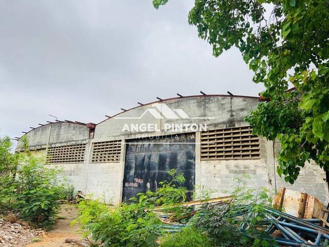 #71081 - GALPÓN / BODEGA para Venta en San Francisco - V - 1