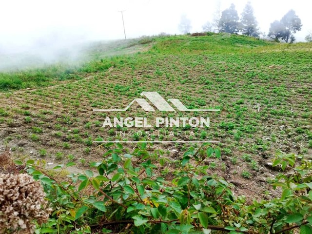 #7251 - GRANJA / FINCA para Venta en Trujillo - T - 1