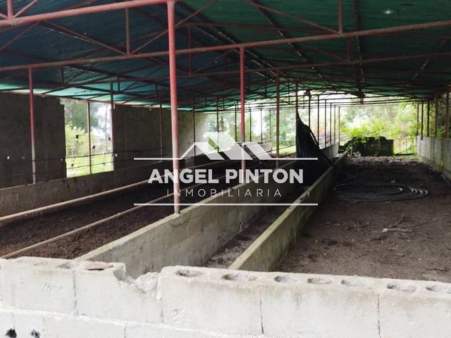 GRANJA / FINCA para Venta en Trujillo - 4