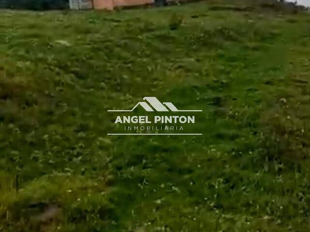 #7253 - GRANJA / FINCA para Venta en Trujillo - T - 2