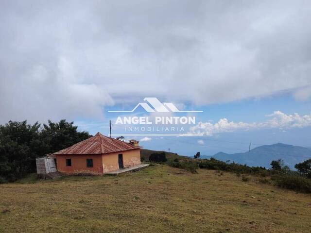 #7253 - GRANJA / FINCA para Venta en Trujillo - T - 3
