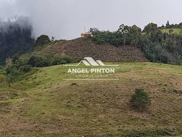#7253 - GRANJA / FINCA para Venta en Trujillo - T - 1