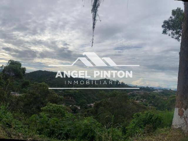 #7256 - TERRENO para Venta en Los Teques - M - 2