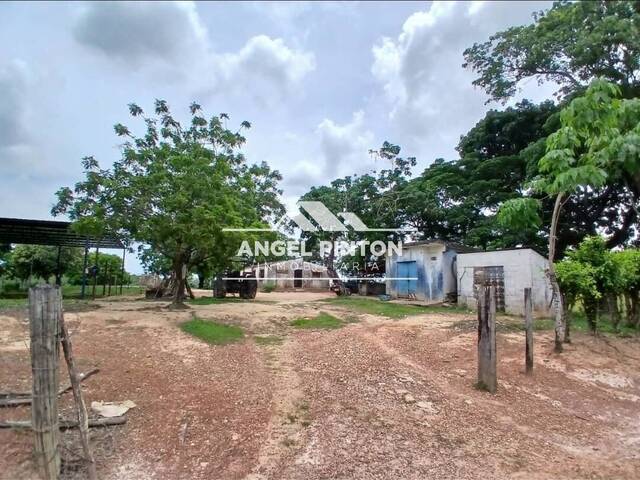 #7282 - GRANJA / FINCA para Venta en Machiques - V - 2