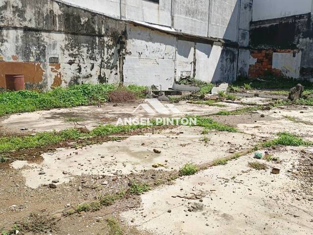 TERRENO para Venta en Araure - 4