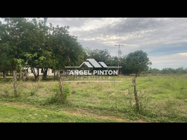#73737 - GRANJA / FINCA para Venta en San Francisco - V - 3