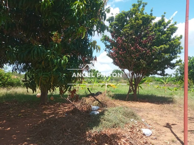 GRANJA / FINCA para Venta en Maracaibo - 4