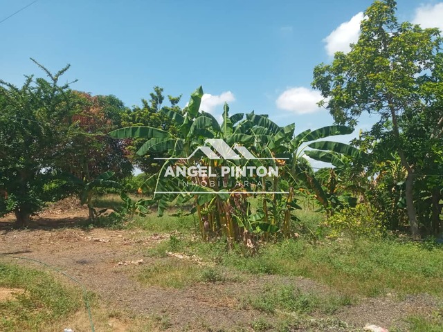 GRANJA / FINCA para Venta en Maracaibo - 5
