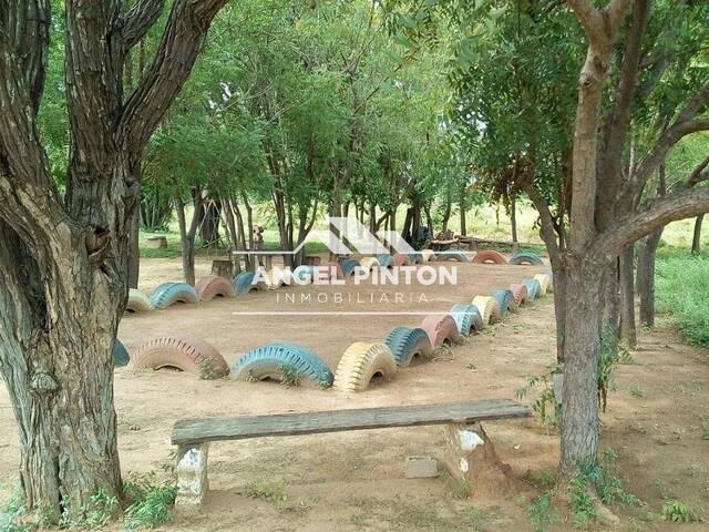 #7553 - GRANJA / FINCA para Venta en Los Puertos de Altagracia - V - 3