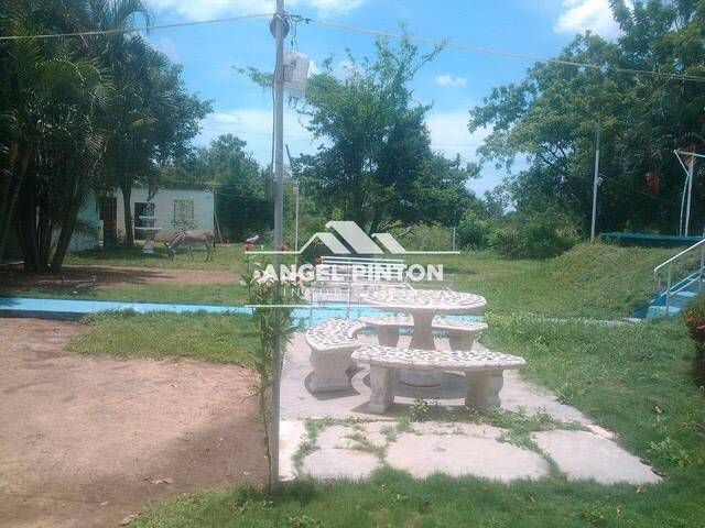 GRANJA / FINCA para Venta en Los Puertos de Altagracia - 5