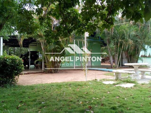#7553 - GRANJA / FINCA para Venta en Los Puertos de Altagracia - V - 1