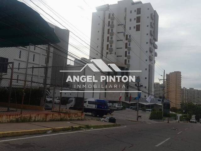TERRENO para Alquiler en Maracaibo - 4
