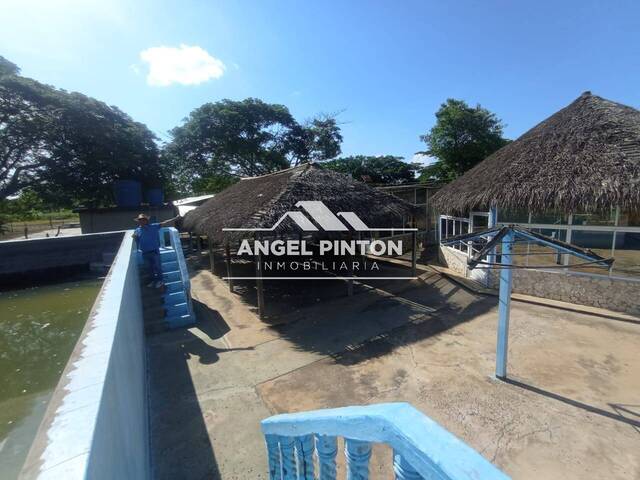 #7641 - TERRENO para Venta en Maracaibo - V - 3