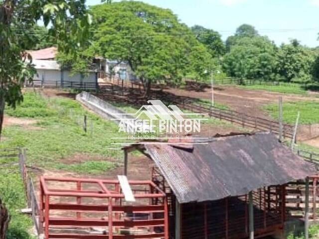 #7644 - GRANJA / FINCA para Venta en Machiques - V - 2