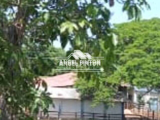 #7644 - GRANJA / FINCA para Venta en Machiques - V - 3