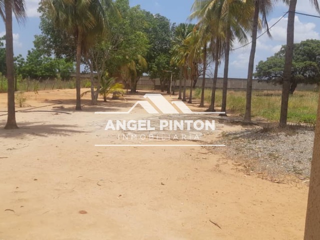 GRANJA / FINCA para Venta en Maracaibo - 4