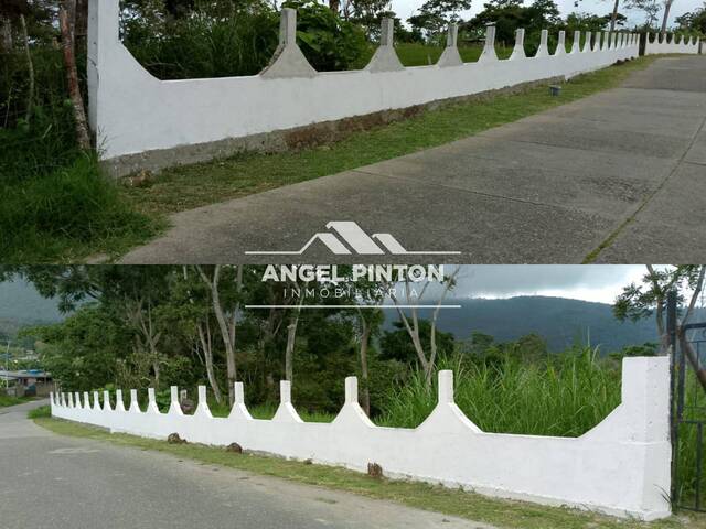 #7717 - GRANJA / FINCA para Venta en Escuque - T - 1