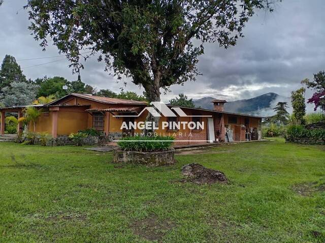 #7762 - GRANJA / FINCA para Venta en Boconó - T - 1
