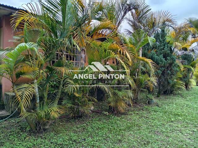 #7762 - GRANJA / FINCA para Venta en Boconó - T - 3