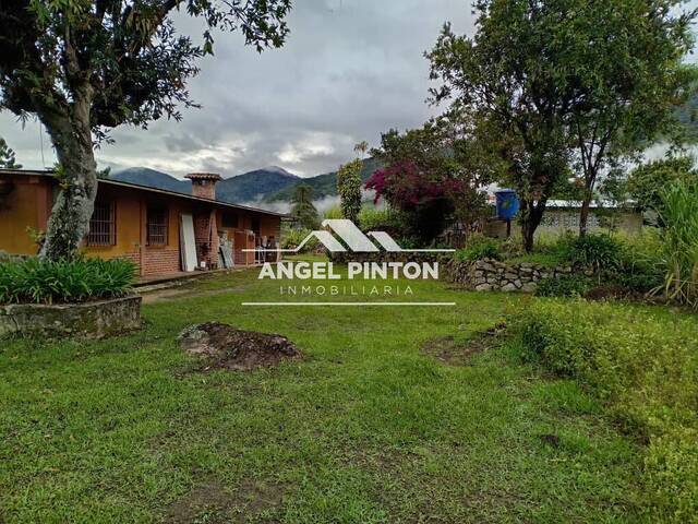 #7762 - GRANJA / FINCA para Venta en Boconó - T - 2