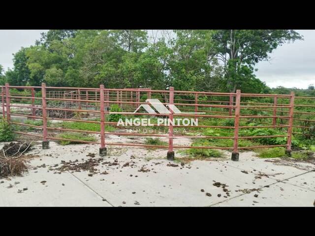 #78071 - HACIENDA para Venta en Machiques - V - 3