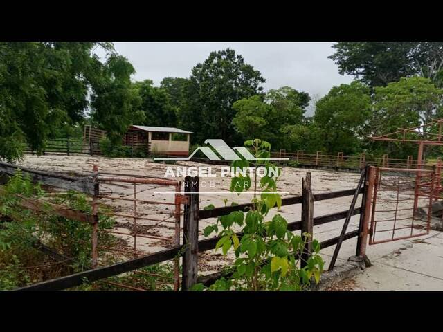 #78071 - HACIENDA para Venta en Machiques - V - 1