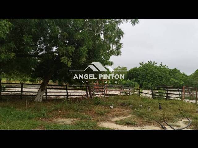 #78071 - HACIENDA para Venta en Machiques - V - 2