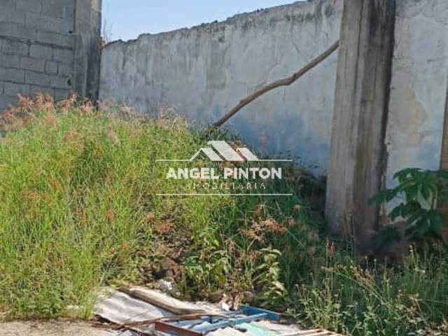 #7856 - CASA COMERCIAL para Venta en Acarigua - P - 3