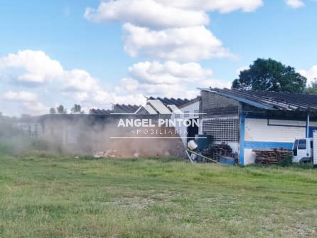 TERRENO para Venta en Acarigua - 5