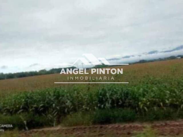 #78792 - TERRENO para Venta en Caracas - A - 3