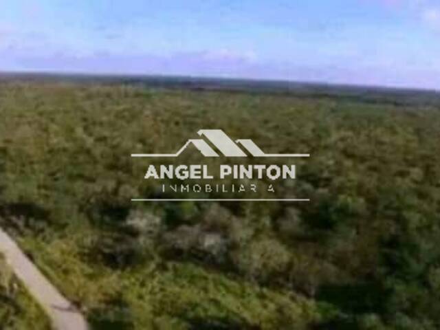 #78792 - TERRENO para Venta en Caracas - A - 2