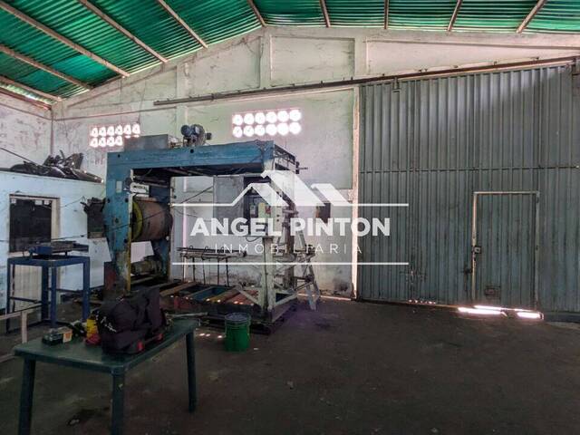 #7824 - GALPÓN / BODEGA para Venta en Ureña - S - 1