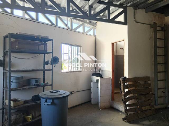 LOCAL COMERCIAL para Venta en Maracaibo - 5