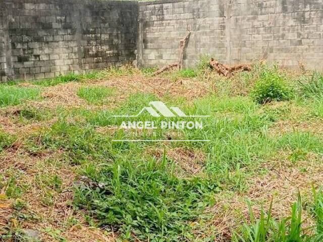 #7961 - CASA COMERCIAL para Venta en Acarigua - P - 1