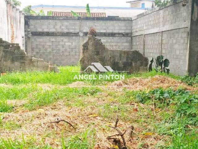 CASA COMERCIAL para Venta en Acarigua - 5