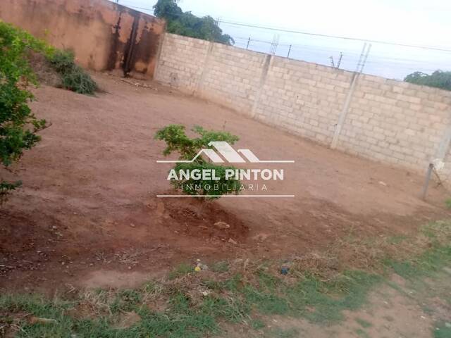 #8114 - TERRENO para Venta en Maracaibo - V - 2