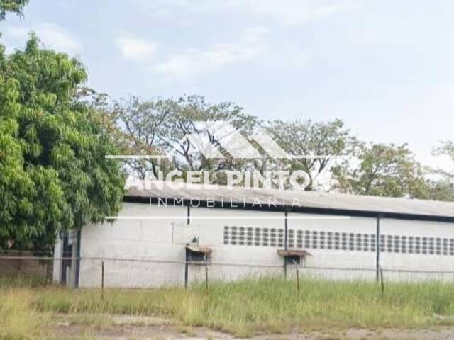 #8128 - GALPÓN / BODEGA para Alquiler en Acarigua - P - 2