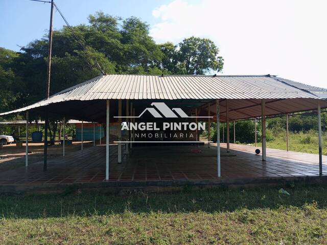 #8159 - GRANJA / FINCA para Venta en San Francisco - V - 3