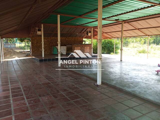 GRANJA / FINCA para Venta en San Francisco - 4