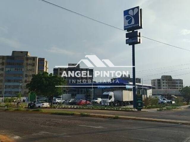 LOCAL COMERCIAL para Alquiler en Maracaibo - 5