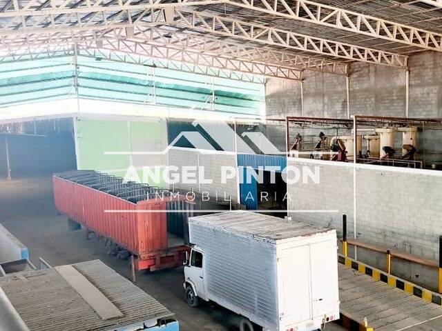 GALPÓN / BODEGA para Venta en Araure - 5