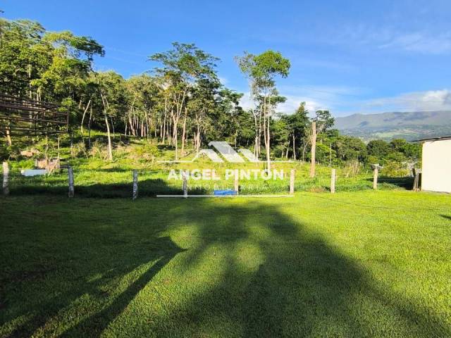 #8360 - GRANJA / FINCA para Venta en Valera - T - 1