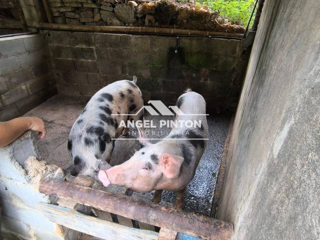 #8361 - GRANJA / FINCA para Venta en Valera - T - 3