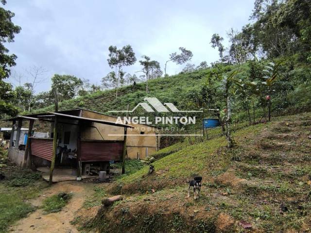 #8361 - GRANJA / FINCA para Venta en Valera - T - 1