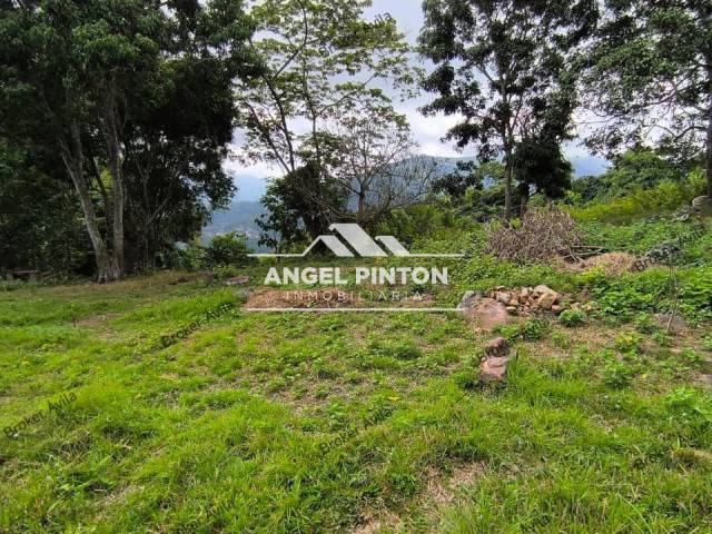 #8362 - GRANJA / FINCA para Venta en Valera - T - 1