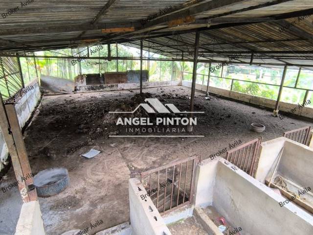 #8362 - GRANJA / FINCA para Venta en Valera - T - 2