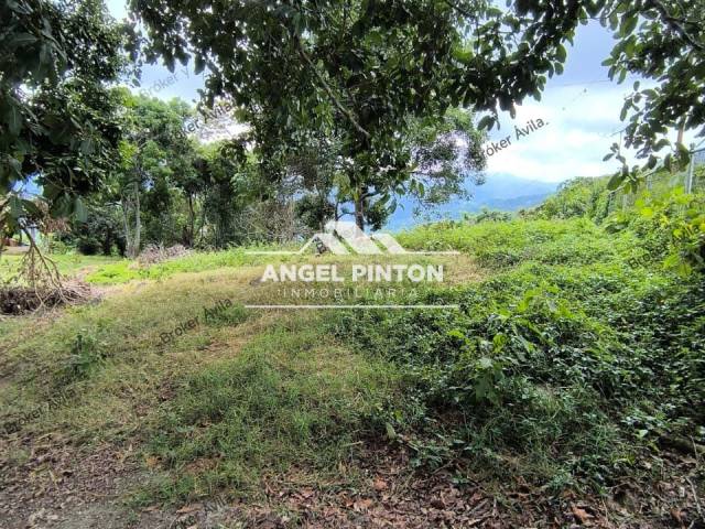 #8362 - GRANJA / FINCA para Venta en Valera - T - 3