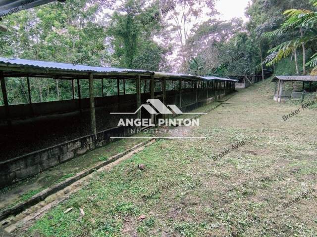 #8363 - GRANJA / FINCA para Venta en Valera - T - 2